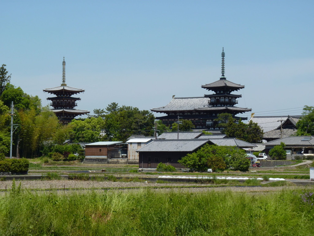 秋篠川散策＆魅力的な平城宮跡の新たな発見