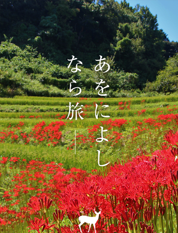 彼岸花（明日香村）