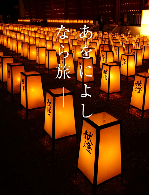 天武忌・万燈会（薬師寺）