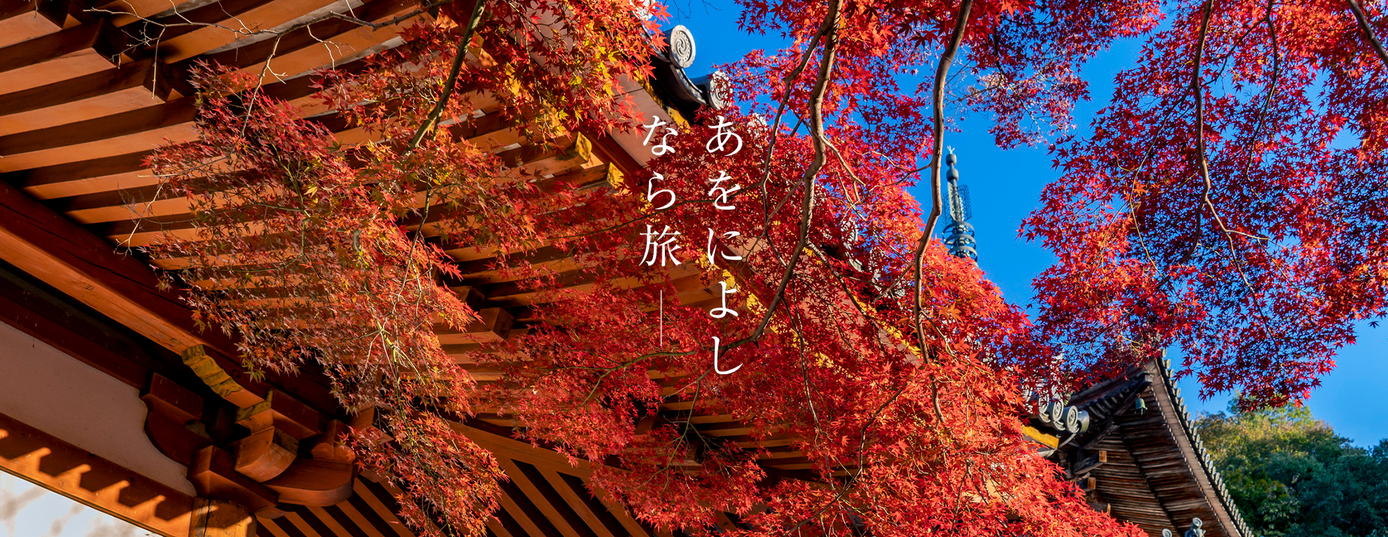 もみじ回廊 (壺阪寺)