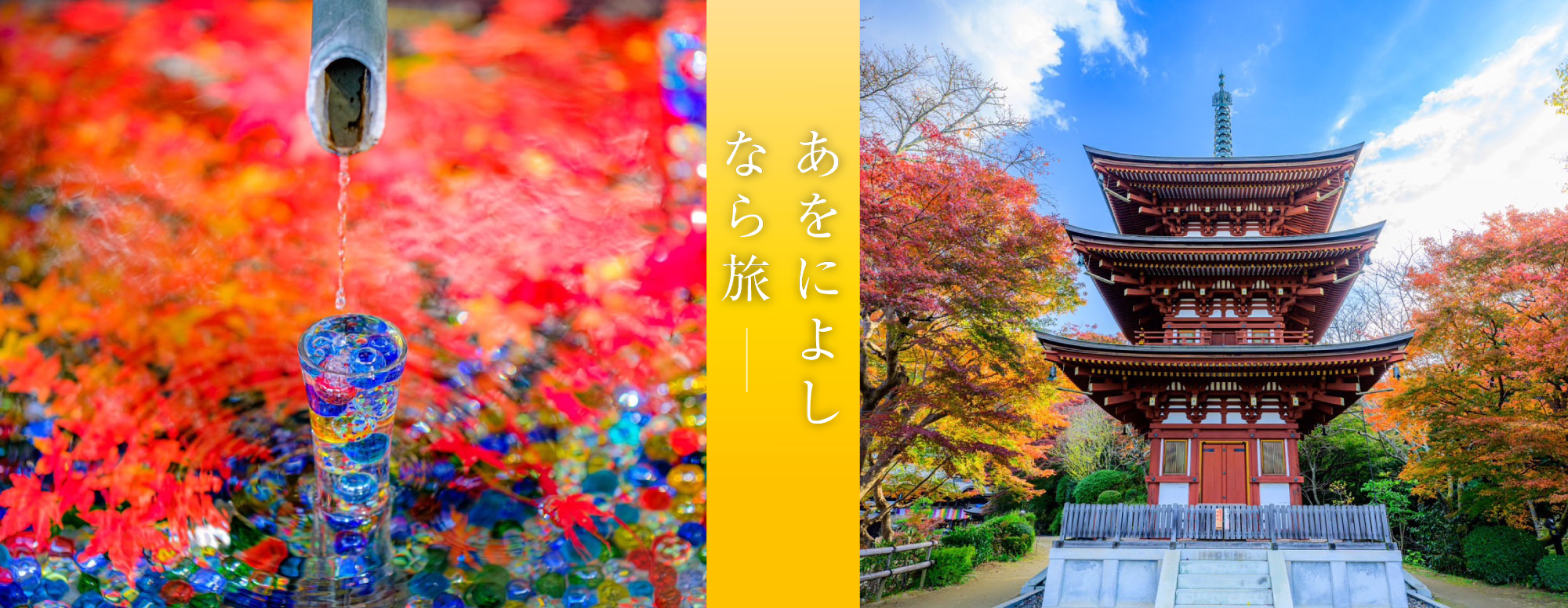 もみじ回廊 (岡寺)