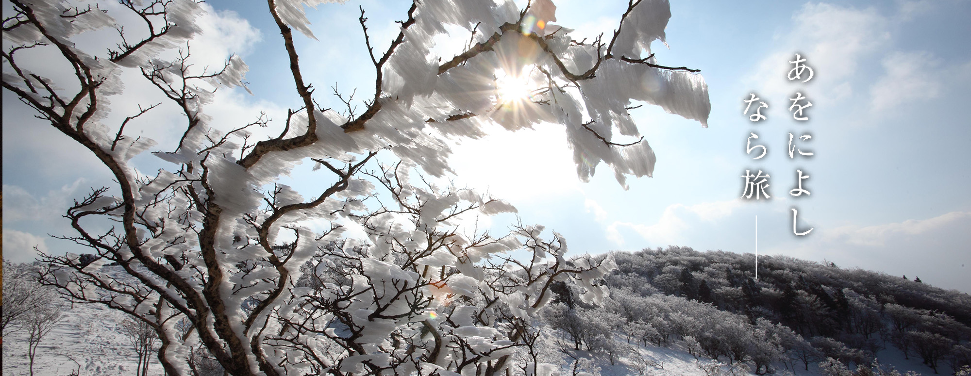 三峰山霧氷まつり (三峰山)