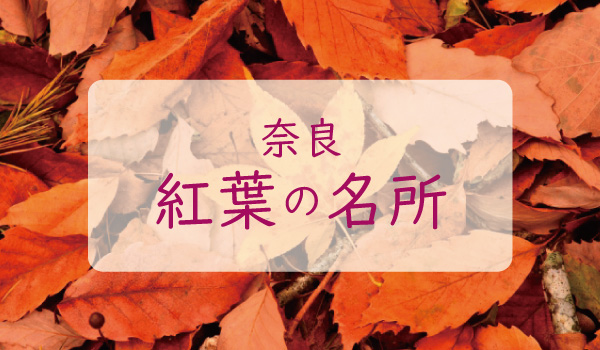 奈良の紅葉スポット
