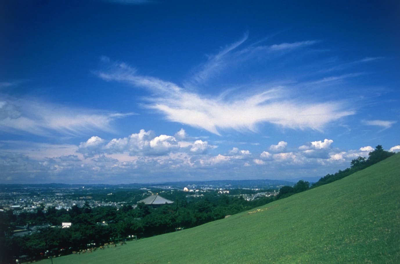 若草山から奈良市街(若草山)