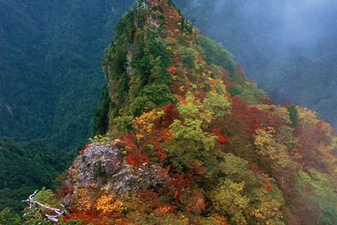 秋色に染まる、奈良大和路の紅葉だより