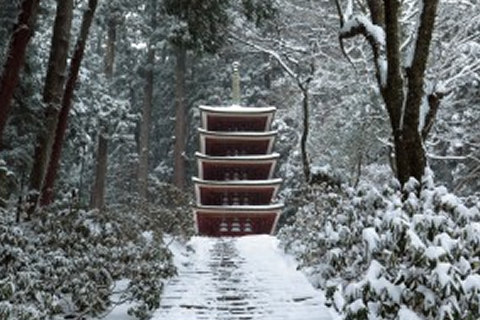 心洗われる風景と癒しの仏たちを訪ねて。