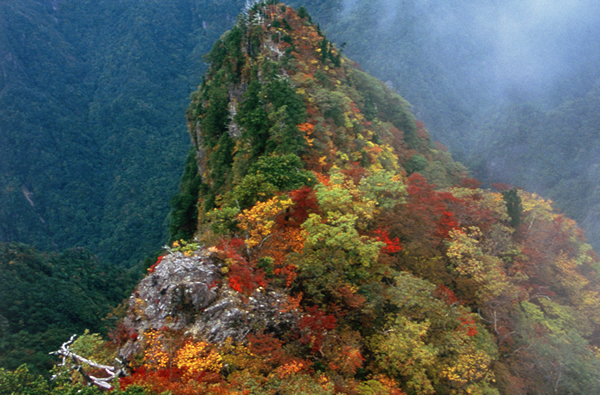 大台ヶ原（10月中旬）