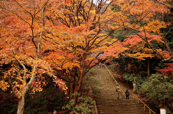 室生寺（もみじ）