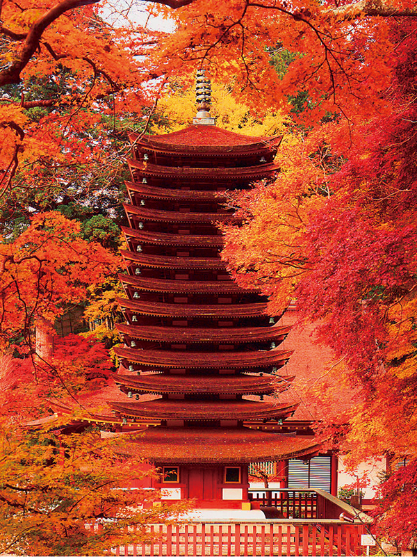 談山神社（もみじ）