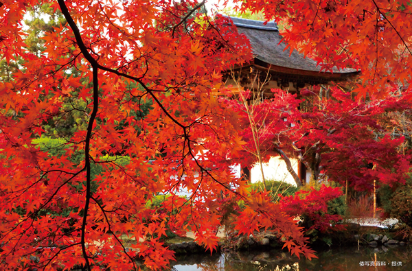 長岳寺(紅葉)