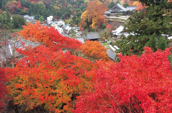 長岳寺（紅葉）