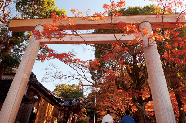 等彌神社（紅葉）