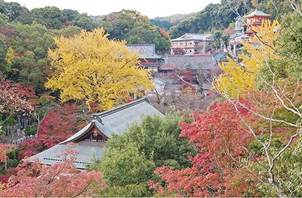 信貴山朝護孫子寺(もみじ)