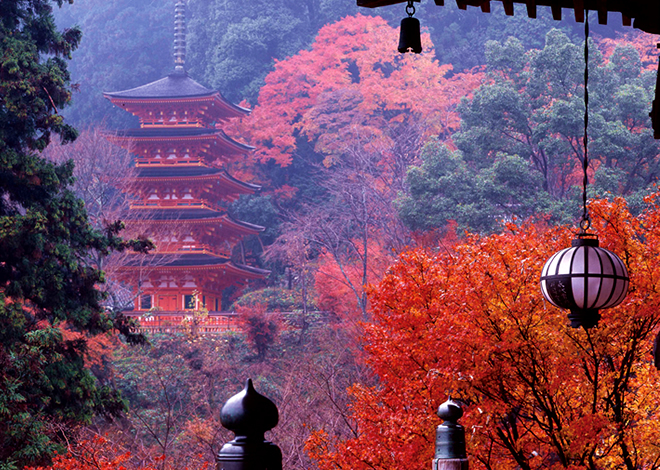 飛鳥大仏（飛鳥寺）