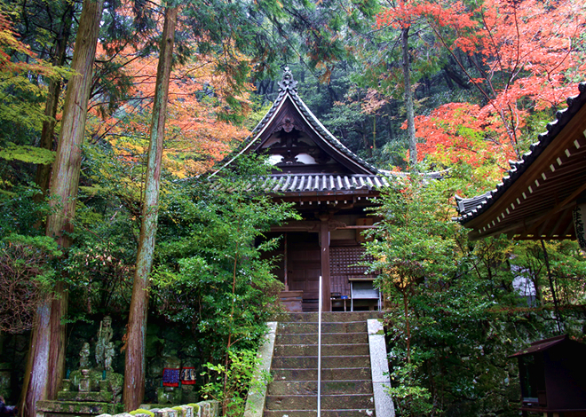 「女人山上」と呼ばれる元山上千光寺の紅葉狩り。