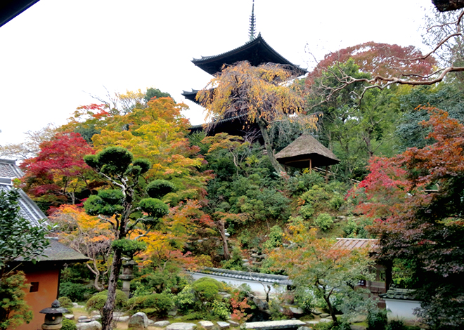 中将姫ゆかりの當麻寺と紅葉に彩られる名園。