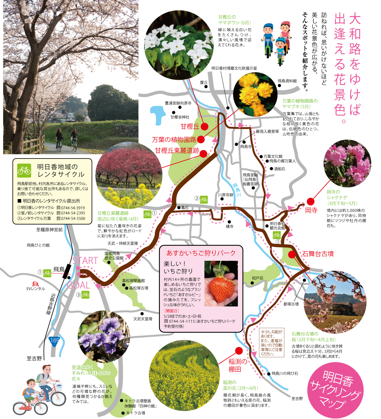 大和路をゆけば出逢える花景色。