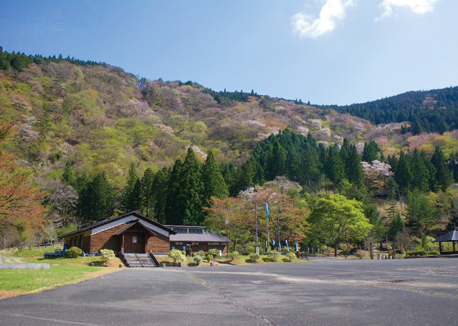 21世紀の森・紀伊半島森林植物公園