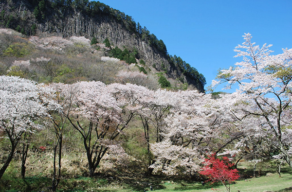 屏風岩公苑