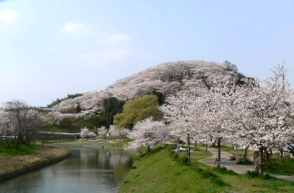 三室山（桜）