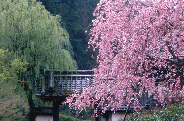 大野寺