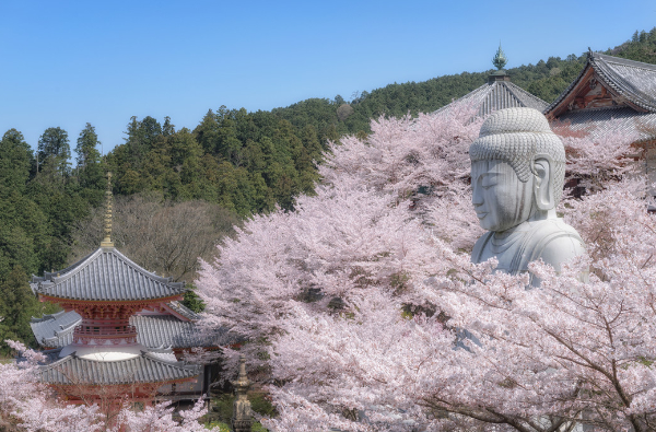 壷阪寺