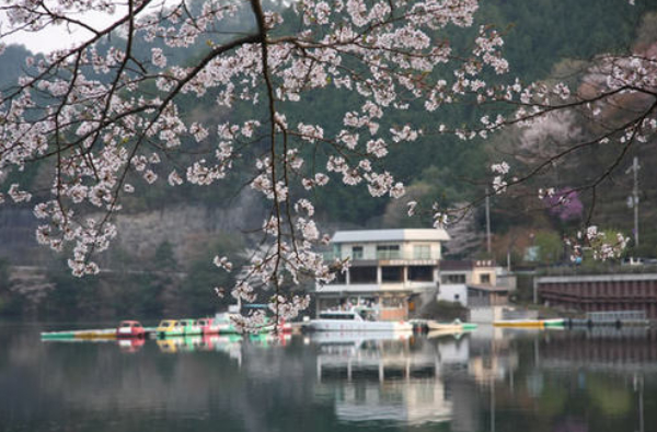 津風呂湖（4月上旬 ～ 4月中旬）