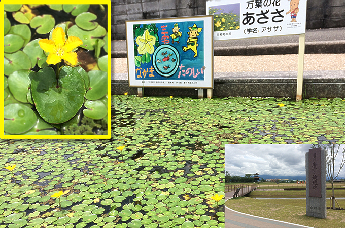 愛の町・三宅を横断