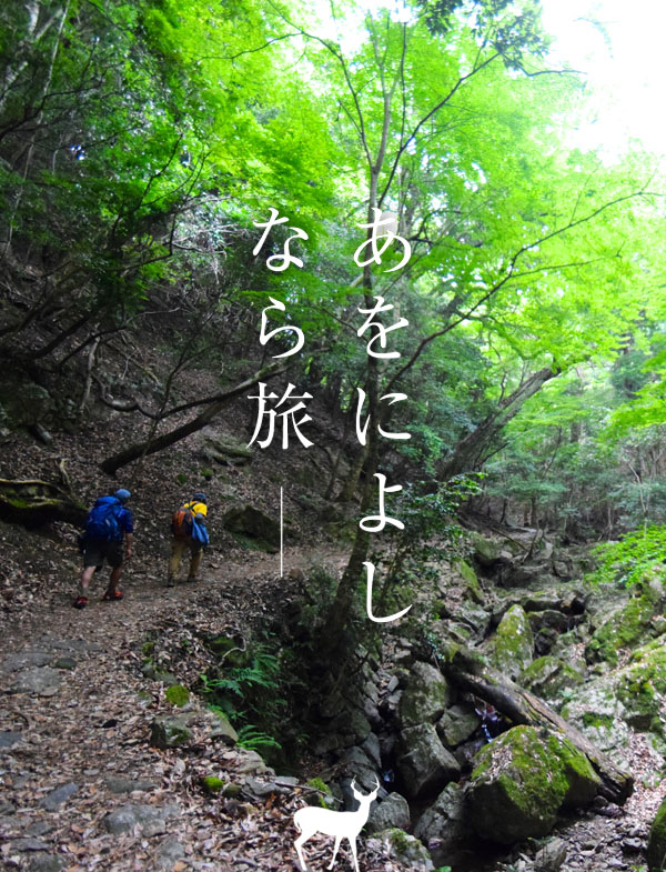 ハイキングアドベンチャー in 春日山原始林