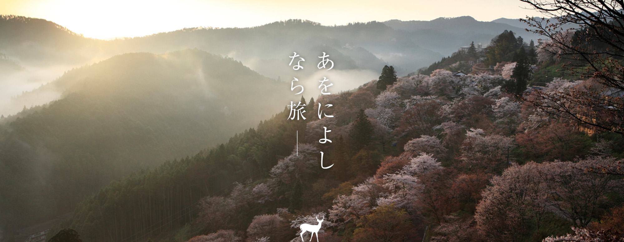 桜（吉野山 下千本）