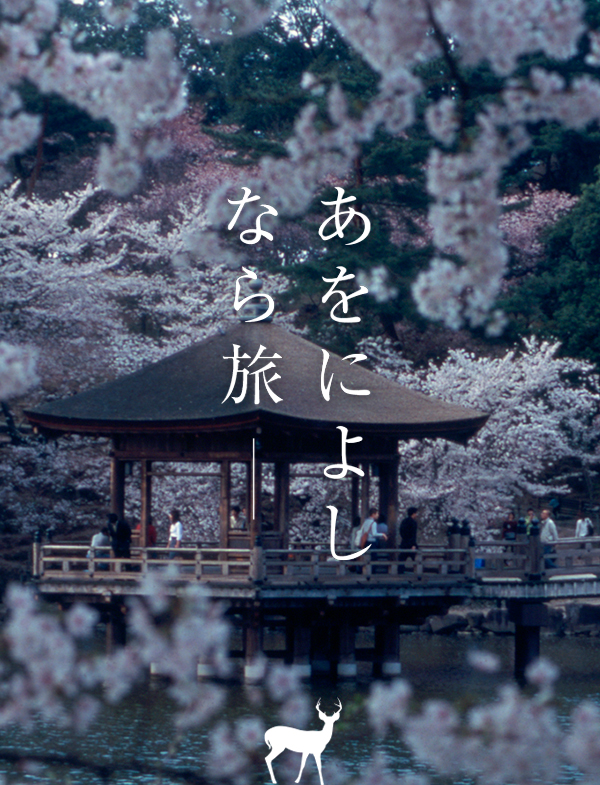 桜（浮御堂）撮影：澤戢三