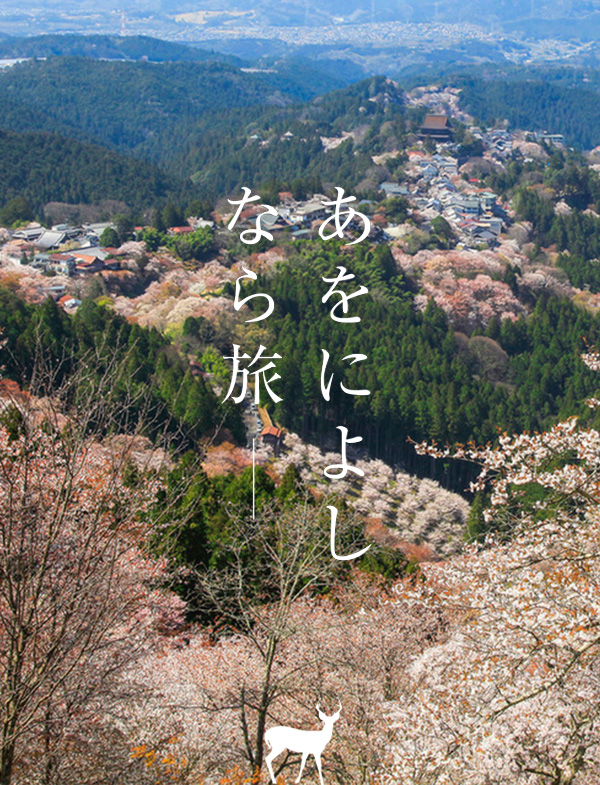 桜（吉野山 花矢倉）