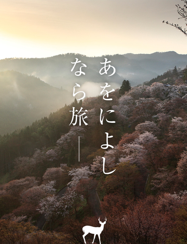 桜（吉野山 下千本）