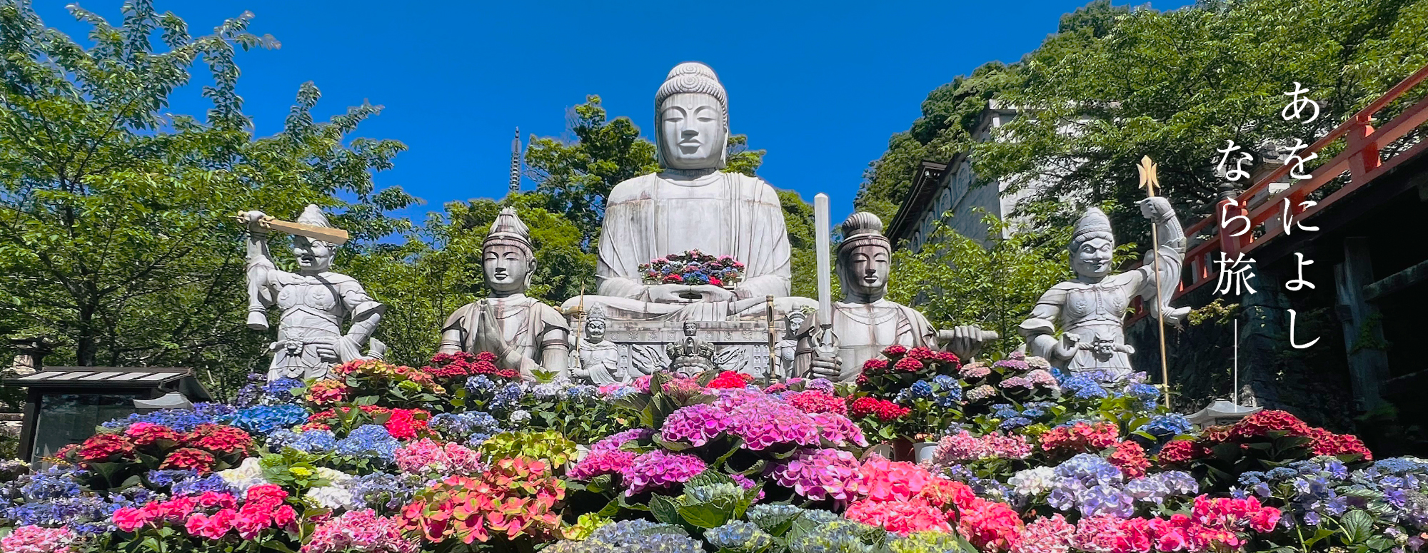 大和観音あぢさゐ回廊（壷阪寺）