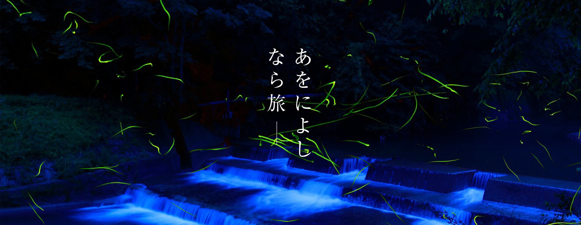 ほたると星のよるさんぽ（御杖村）