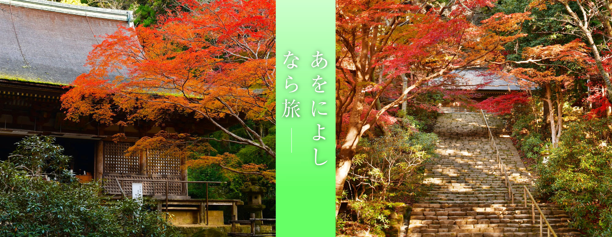 もみじ回廊 （室生寺）