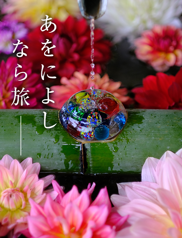 ダリア（岡寺）