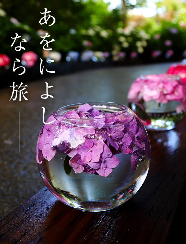 あじさい（般若寺）