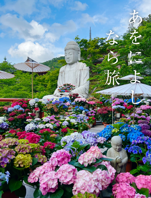 大和観音あぢさゐ回廊（壷阪寺）