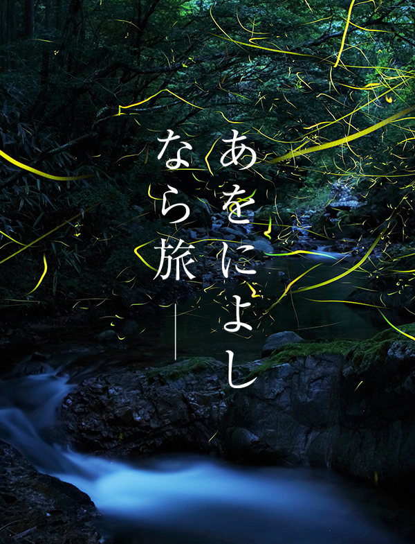 ほたると星のよるさんぽ（御杖村）