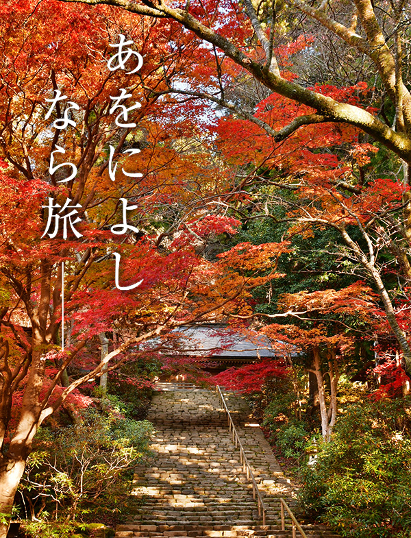 もみじ回廊 （室生寺）