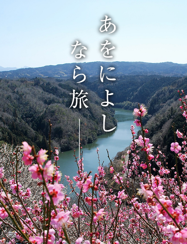 梅（月ヶ瀬梅渓）