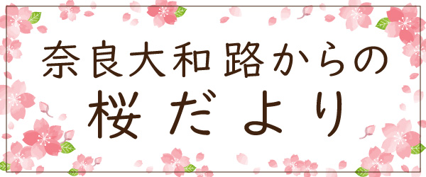 大和路からの桜だより