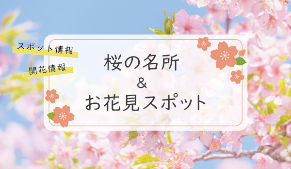 桜の名所＆絶景