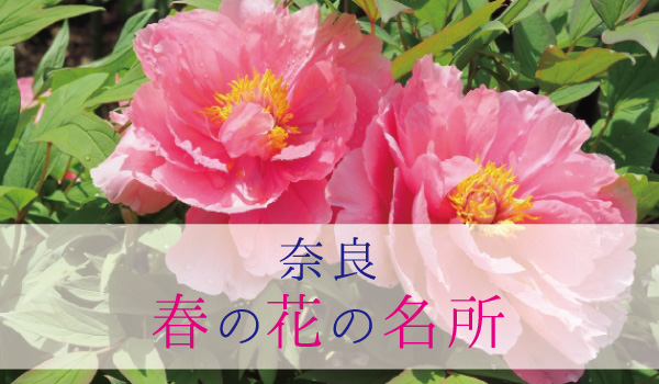 奈良の花の名所
