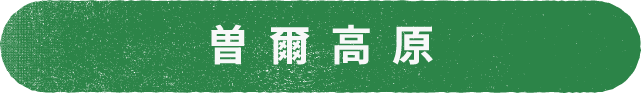 曽爾高原