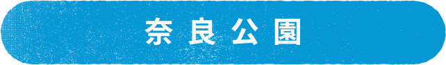 奈良公園