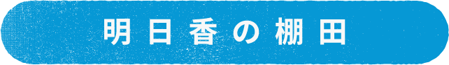 明日香の棚田