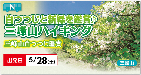 白つつじと新緑を鑑賞♪三峰山ハイキング