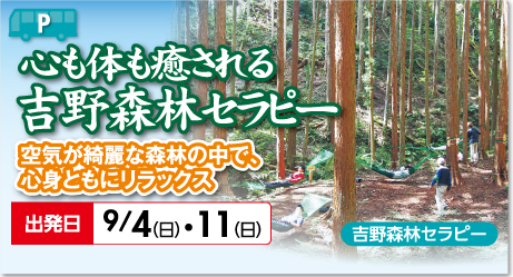 心も体も癒される吉野森林セラピー